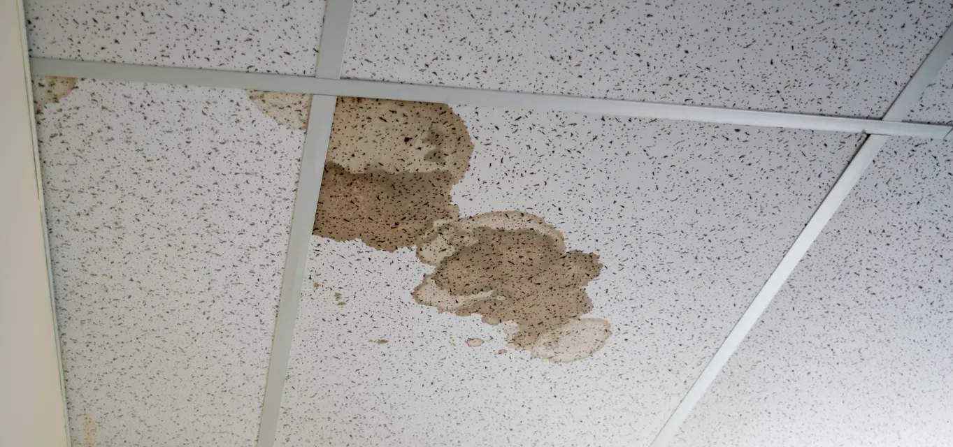stained ceiling tile being replaced during a commercial facility maintenance service